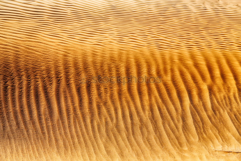 Similar – Image, Stock Photo in oman the old desert and the empty quarter