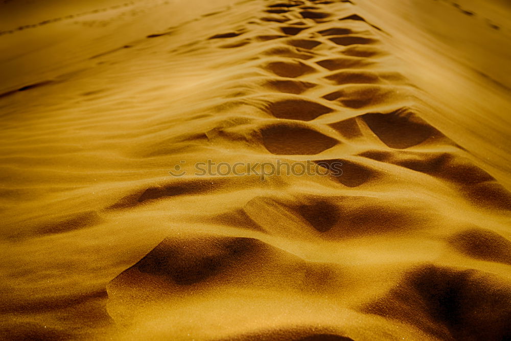 Similar – Image, Stock Photo Aerial View Of Sportive Woman Running On Beach