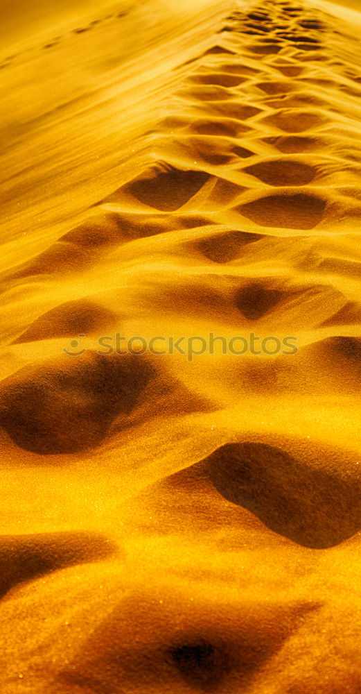 Similar – dune in the sahara morocco desert