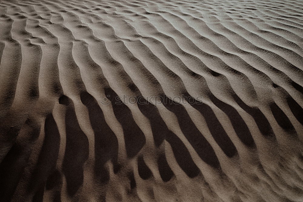 Similar – wüstenfeeling im sandwerk II