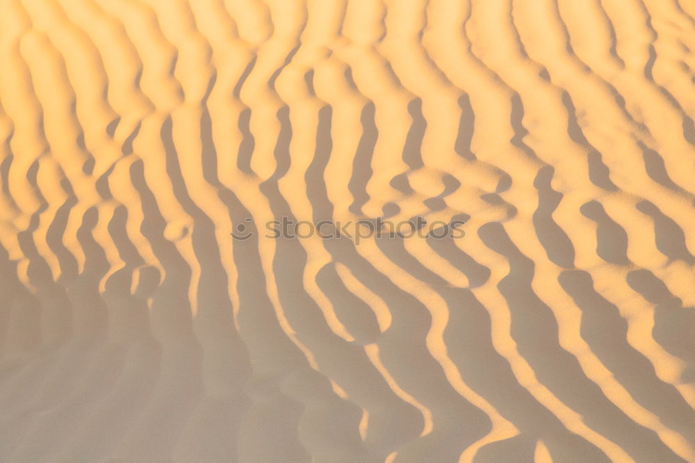 Similar – Image, Stock Photo sand dune in oman old desert rub al khali