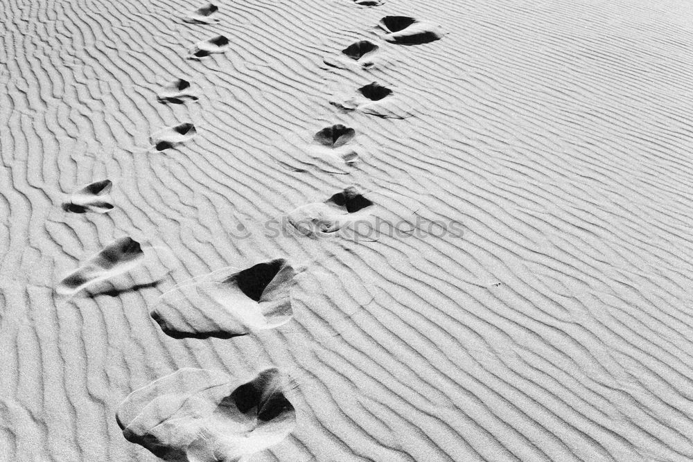 Similar – Image, Stock Photo leave traces Sea water