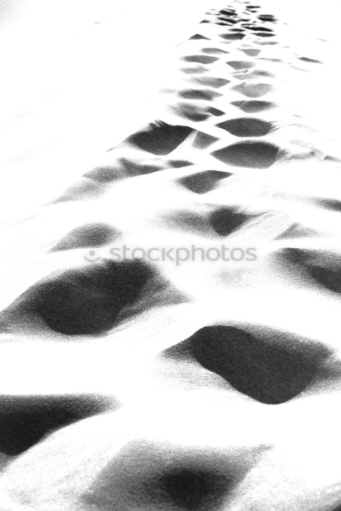 Similar – Image, Stock Photo living in b&w (2) Lake