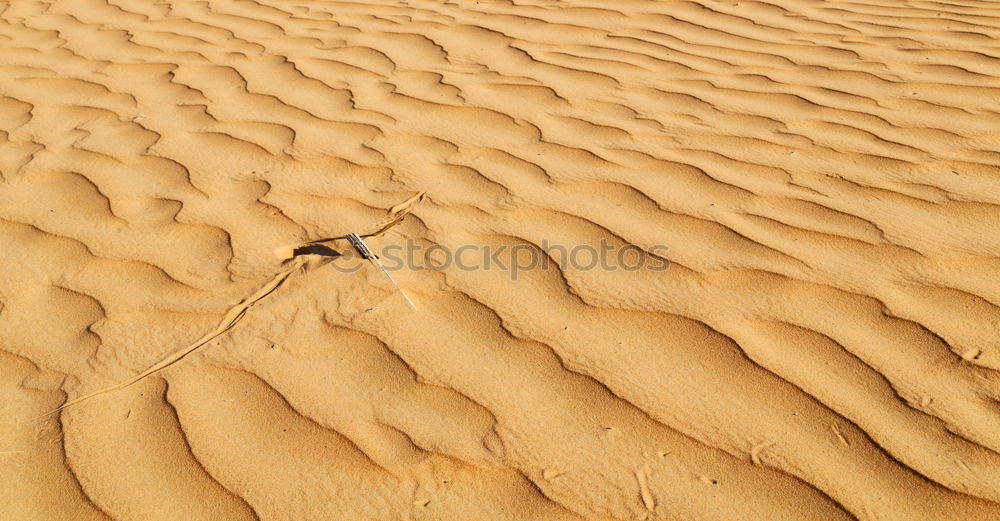 Similar – old, lost shoe on the beach