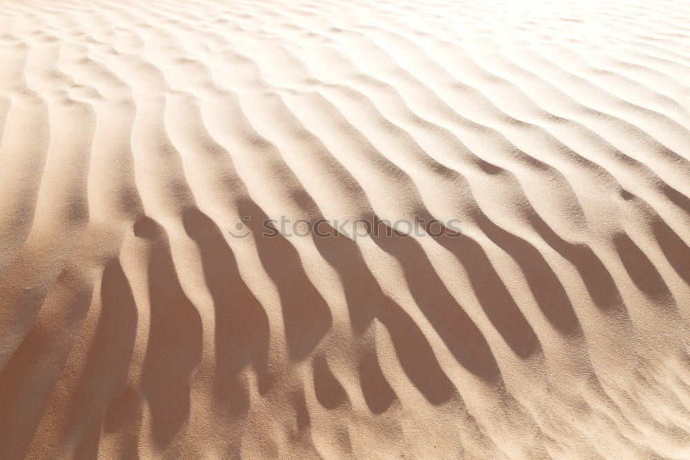 Similar – Desert (2/10) Sand Dune