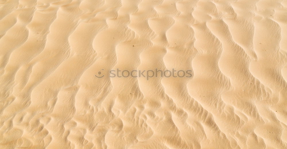 Similar – Sand texture on the beach