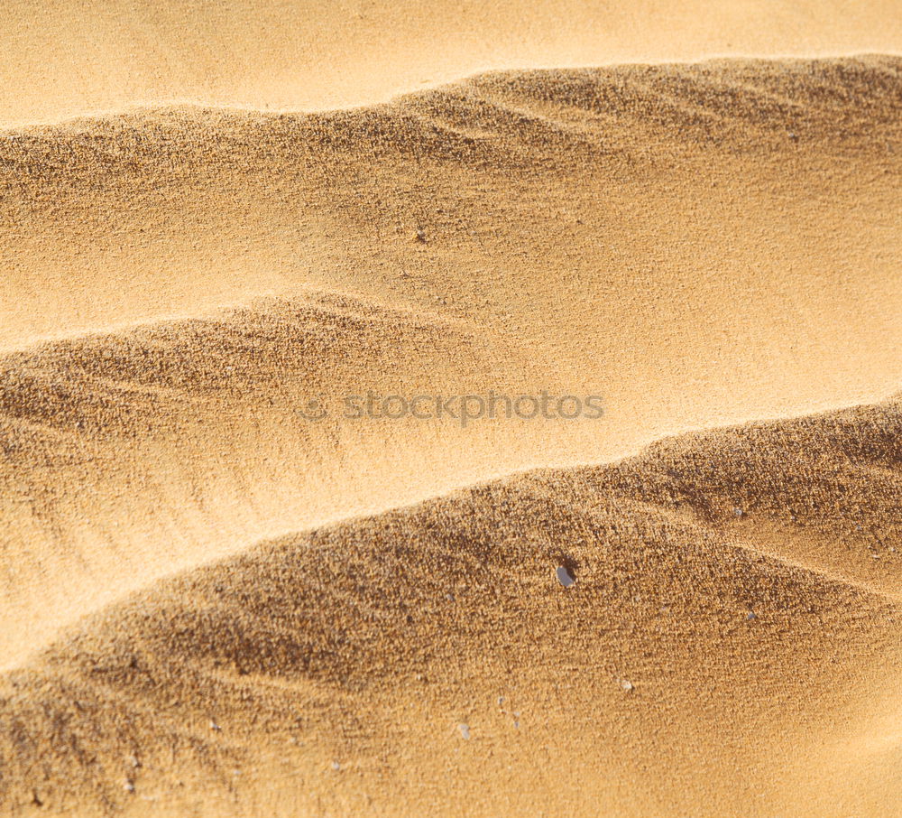 Similar – Tracks and deposit on the beach in Portugal IV