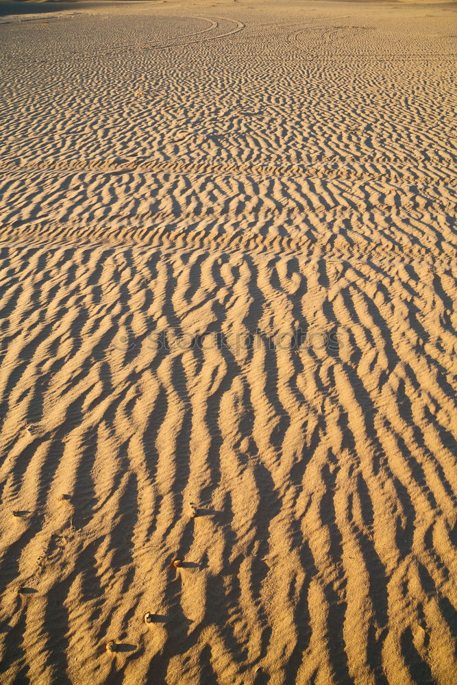 Similar – sandy desert Beach Sunset