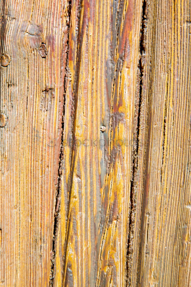 Similar – Image, Stock Photo Sedimentary rocks texture