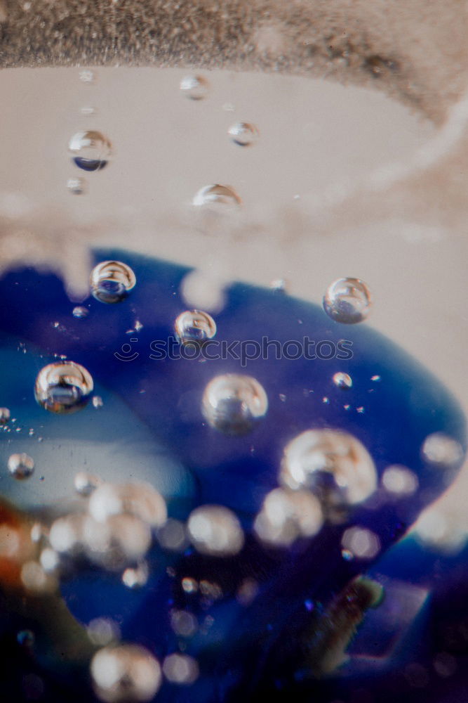 Image, Stock Photo Submerged Healthy