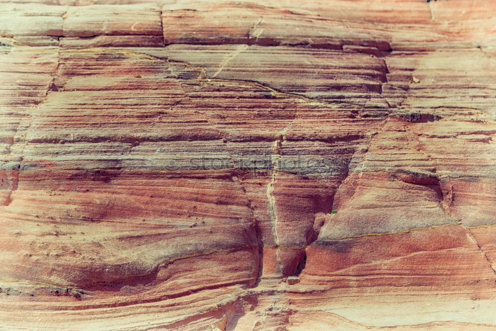 Similar – Image, Stock Photo Structures in sandstone