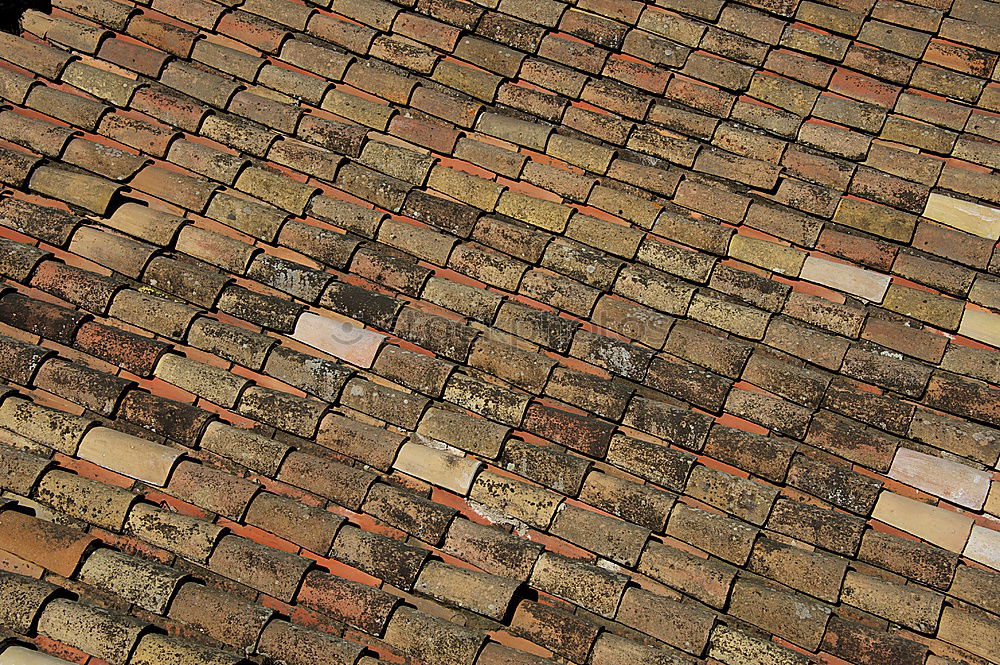 Similar – Roofs, roofs, gables, old town of Quedlinburg