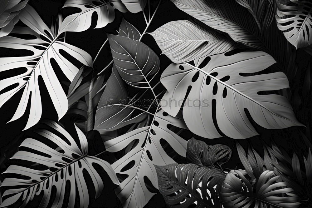 Similar – Image, Stock Photo plant leaves texture Plant
