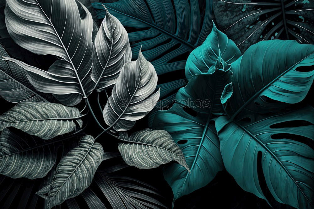Similar – Image, Stock Photo plant leaves texture Plant