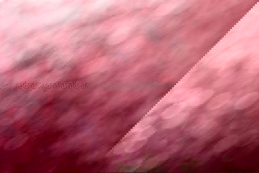 Similar – Image, Stock Photo cotton cloth Clothing