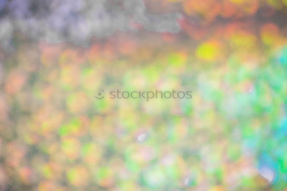 Similar – Image, Stock Photo AST 9 | fragile Glass