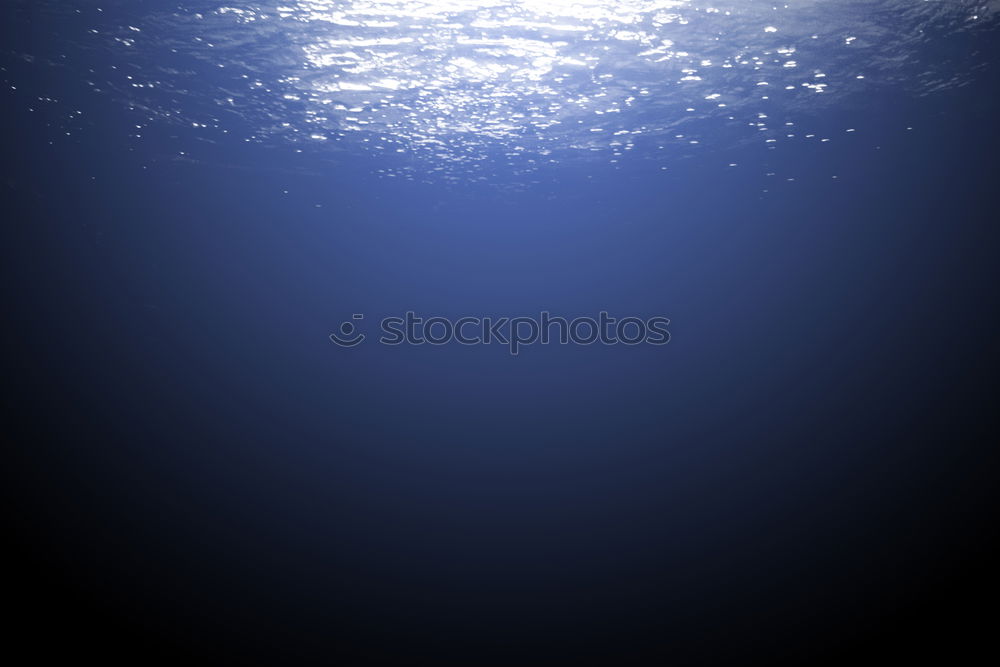 Similar – Image, Stock Photo fisheye Green Buoy Ocean