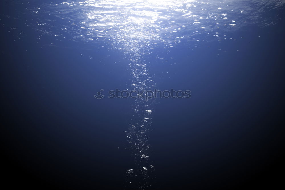 Similar – Image, Stock Photo water dance Dolphin Ocean