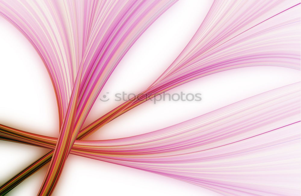 Similar – Image, Stock Photo dandelion flower seed