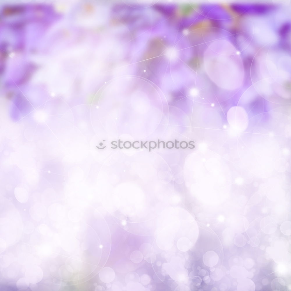 Similar – Image, Stock Photo Lilac in the garden