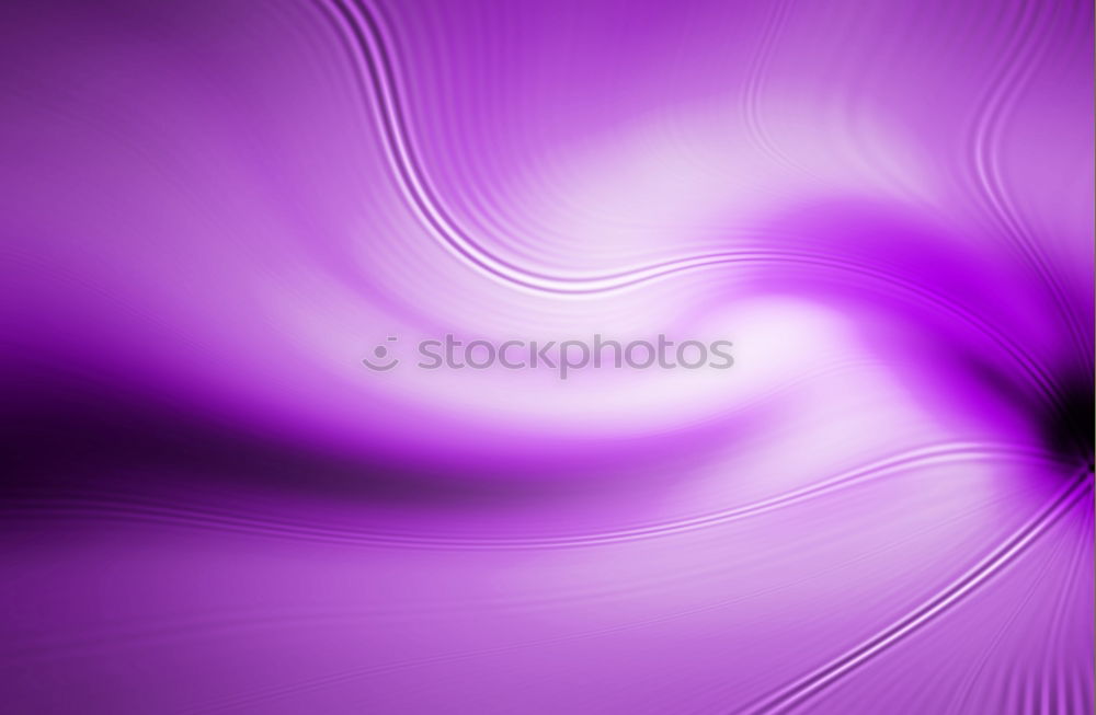 Similar – Magnificent winds, Ipomoea, purple, purpurea,