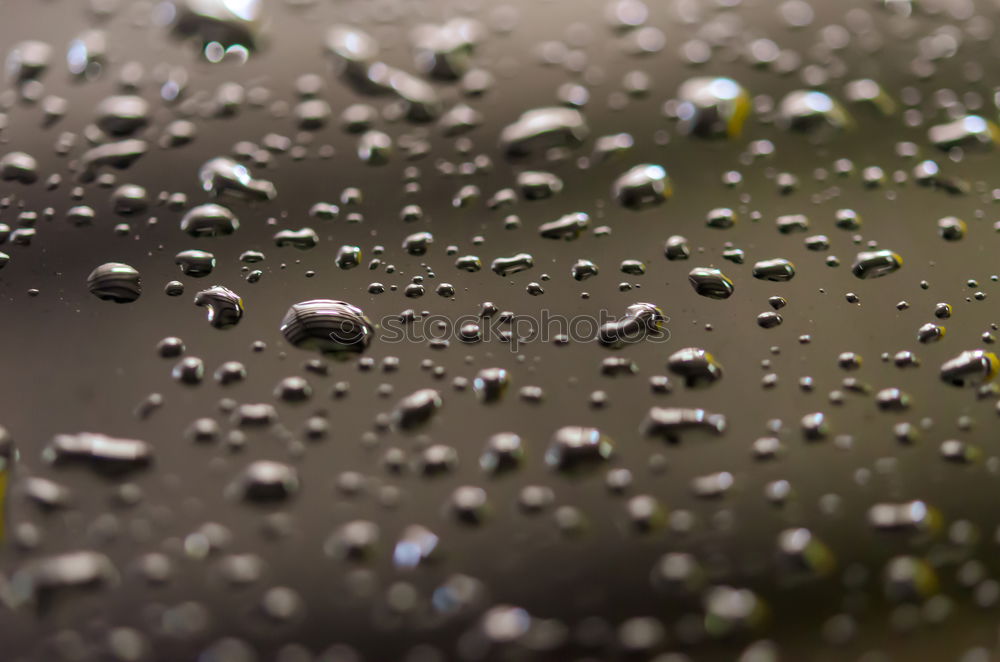 Similar – Image, Stock Photo dew drops Window Wet Cold