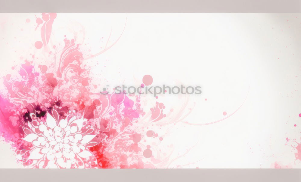 Similar – Pretty flowers on pink background