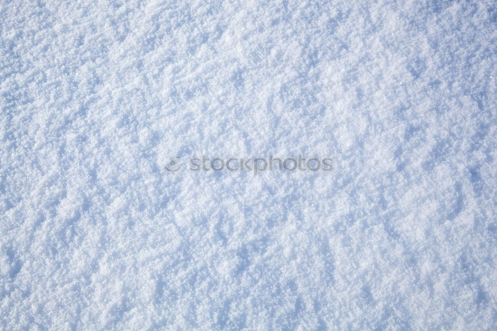 Similar – Image, Stock Photo The day after Winter