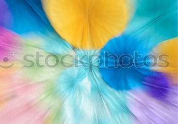 Similar – Image, Stock Photo dandelion flower seed