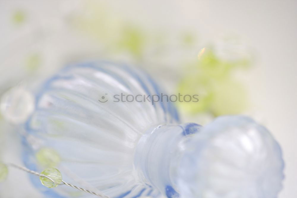 Similar – Image, Stock Photo manfred krug Orchid Vase