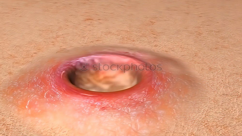 Similar – umbilicus Fluff Navel