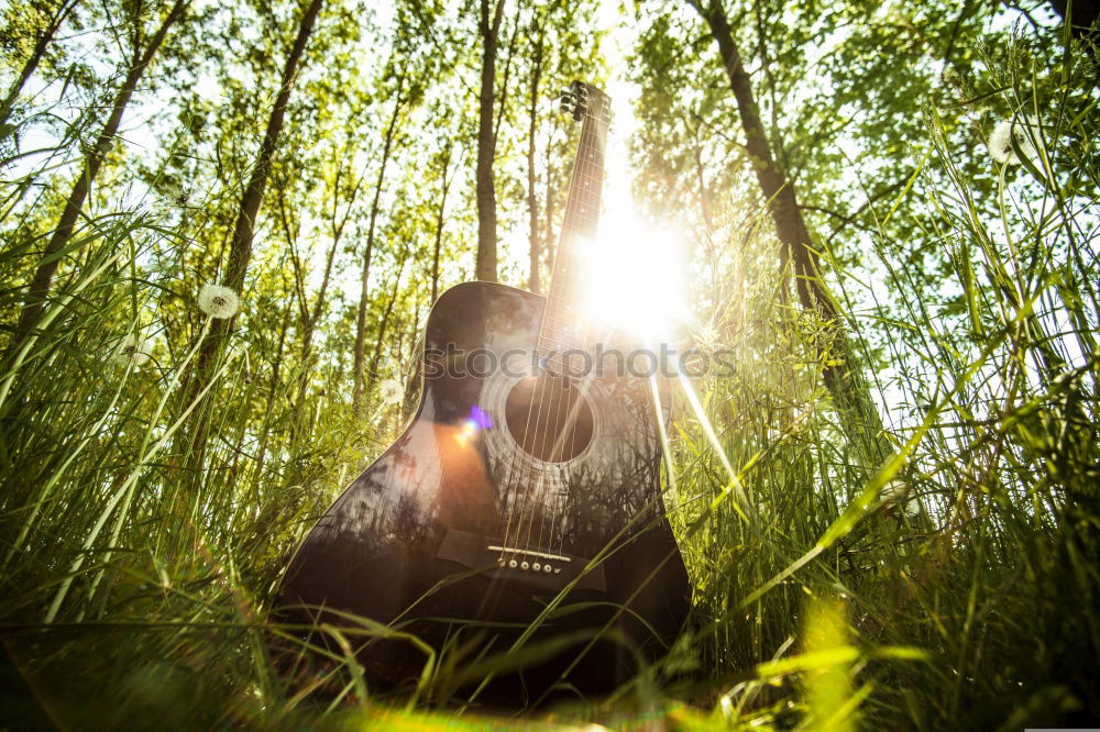 Similar – Image, Stock Photo Man with guitar in woods