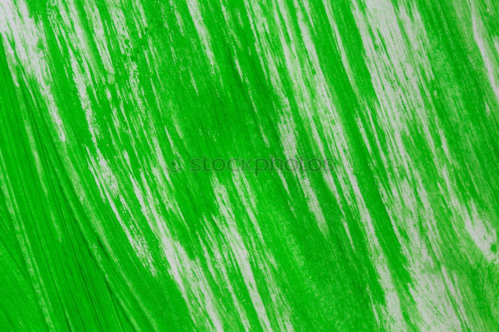 Similar – Image, Stock Photo green megablatt Plant Leaf