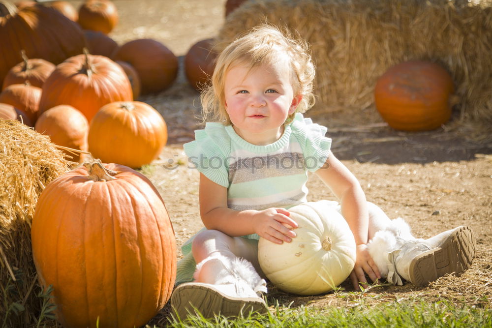 Similar – Image, Stock Photo Adorable girl todler embracing pumpkins on an autumn field