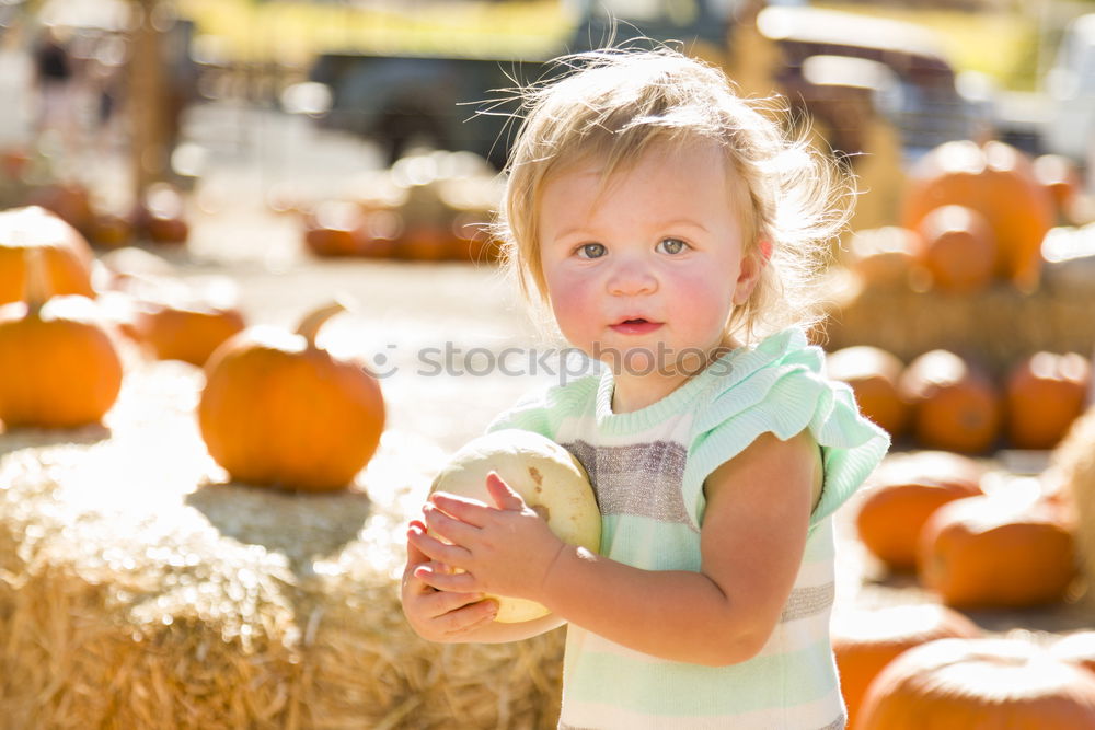 Similar – Image, Stock Photo Adorable girl todler embracing pumpkins on an autumn field