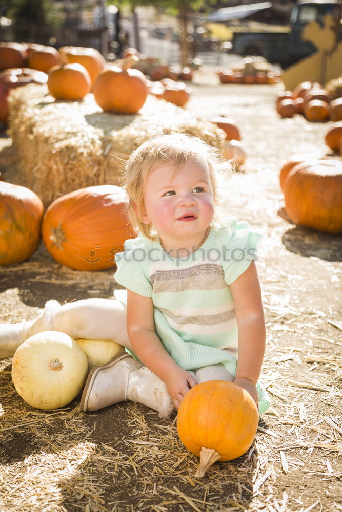 Similar – Image, Stock Photo Adorable girl todler embracing pumpkins on an autumn field