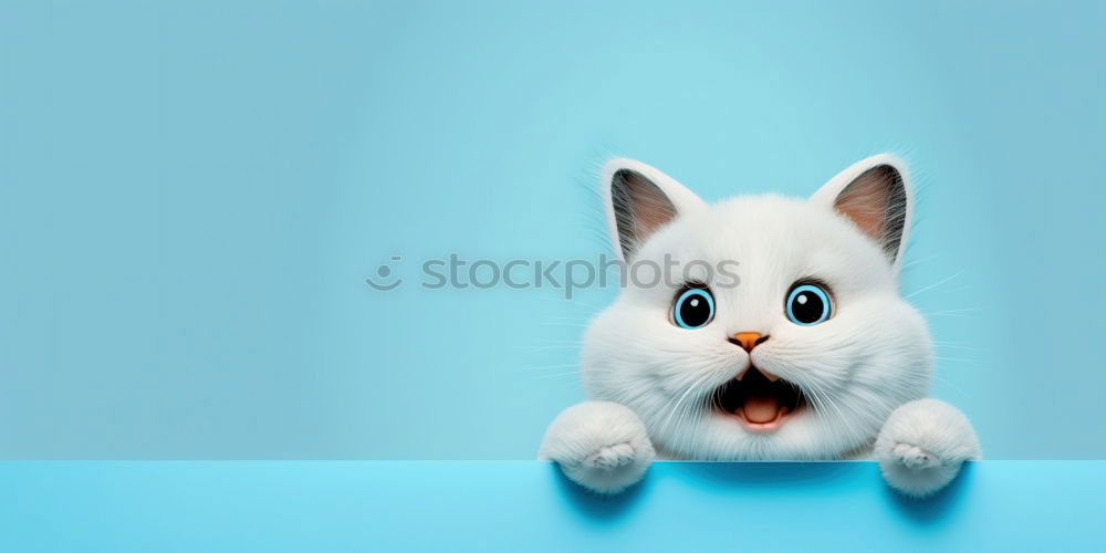 Similar – Image, Stock Photo bunny style Art