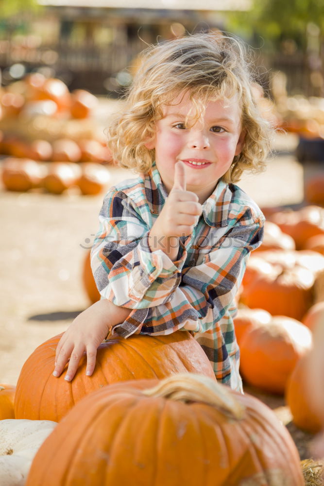 Similar – Image, Stock Photo Adorable girl todler embracing pumpkins on an autumn field