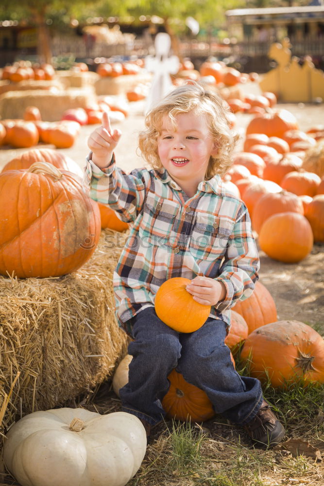 Similar – Image, Stock Photo Adorable girl todler embracing pumpkins on an autumn field