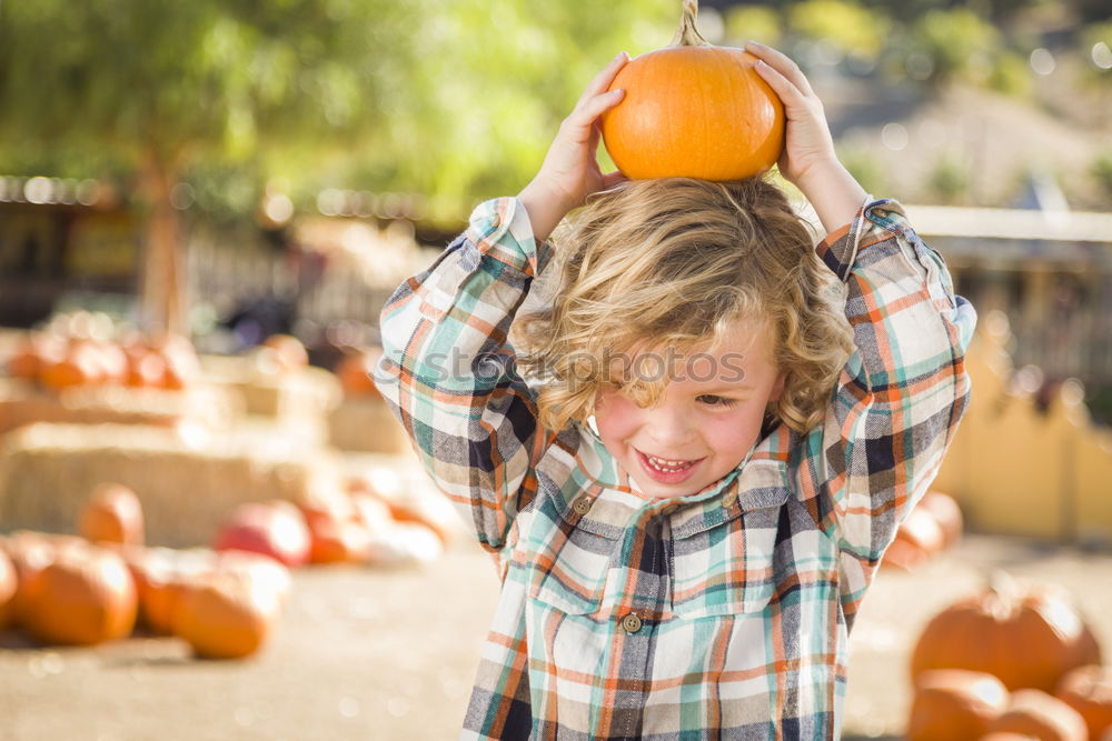 Similar – Image, Stock Photo Adorable girl todler embracing pumpkins on an autumn field