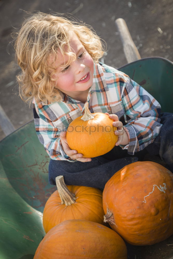 Similar – Image, Stock Photo Adorable girl todler embracing pumpkins on an autumn field