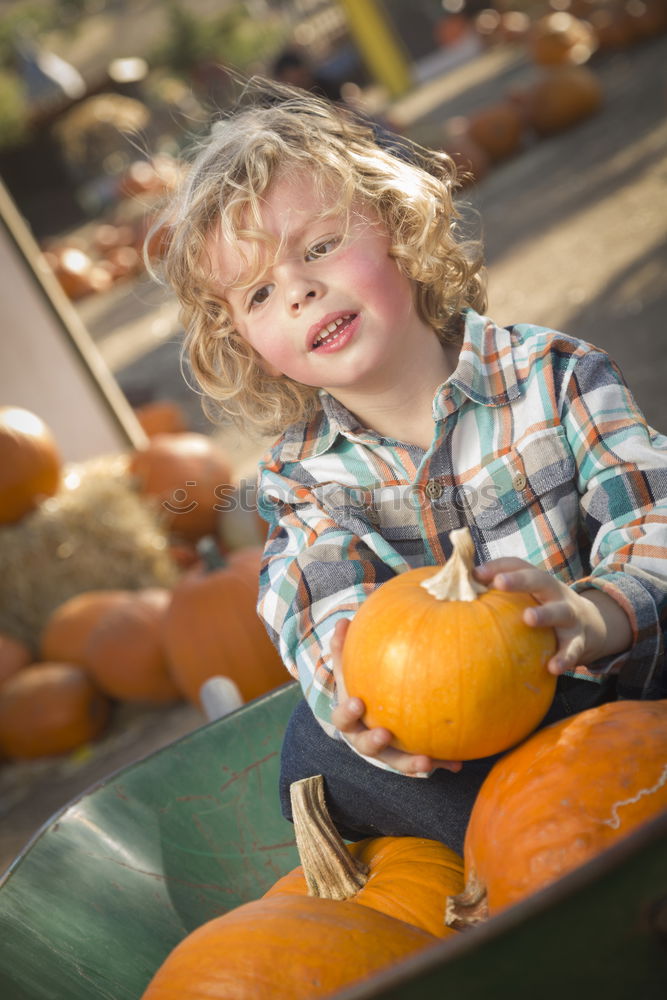 Similar – Image, Stock Photo Adorable girl todler embracing pumpkins on an autumn field