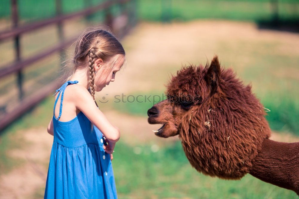 Similar – Image, Stock Photo Communication between young man and horse