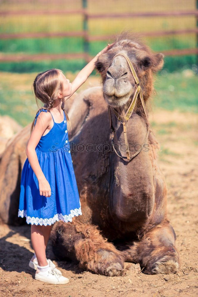 Similar – Image, Stock Photo Kid with animal Lifestyle