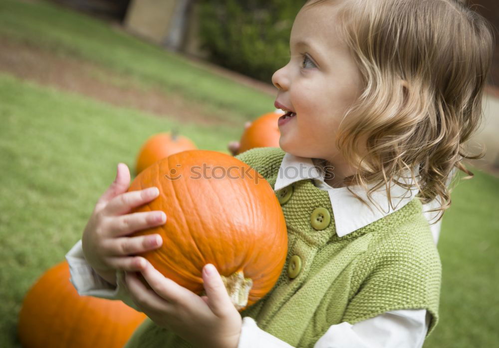 Image, Stock Photo Adorable girl todler embracing pumpkins on an autumn field