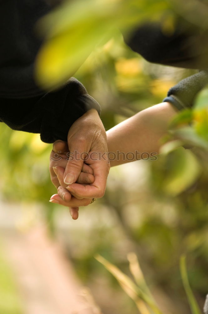 Similar – Image, Stock Photo Child holds beans seeds in hand