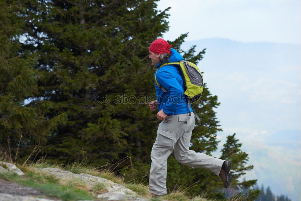 Image, Stock Photo jump Alpine pasture Summer