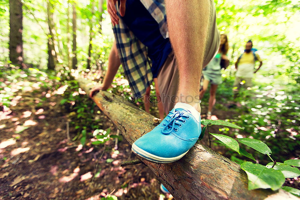 Similar – Image, Stock Photo happy kid girl exploring summer forest