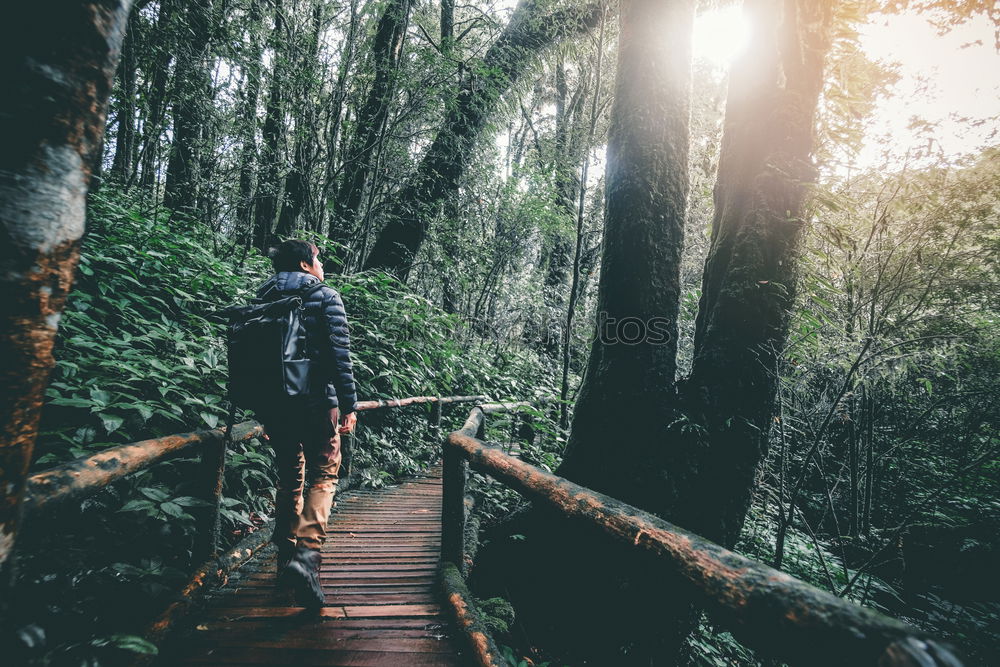 Similar – Hiker in forest with hands up