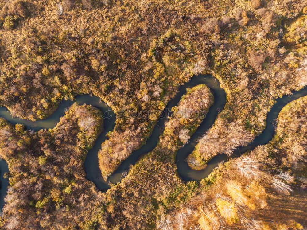 Similar – brook Brook River Water